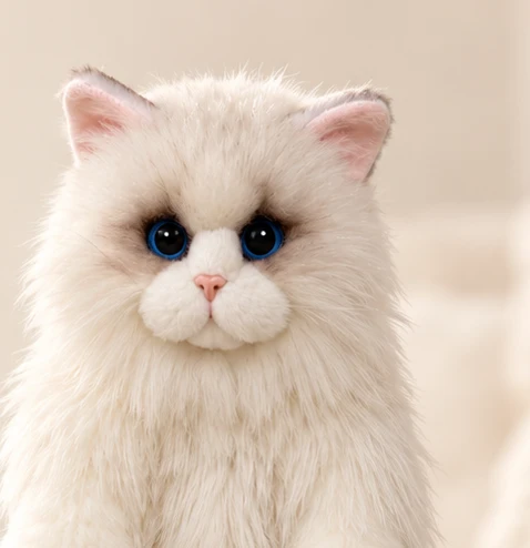 The first cat’s blue eyes and pink nose